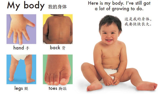 Happy Baby Words (Bilingual) 快乐宝贝学单词 Chinese children Book 9787550275201 Roger Priddy 