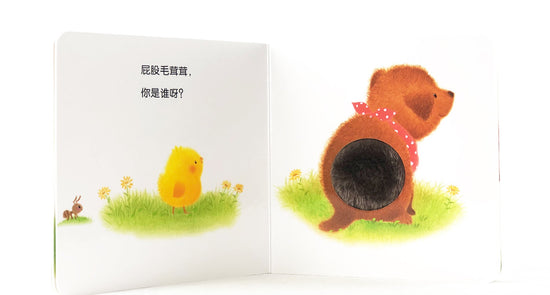 Little Piyo xiao ji qiu qiu 小鸡球球 Satoshi Iriyama 9787556051328 Chinese children's book