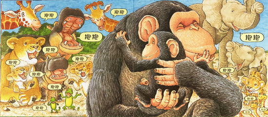 chinese children book baby toddler 抱抱 hug 9787533296049