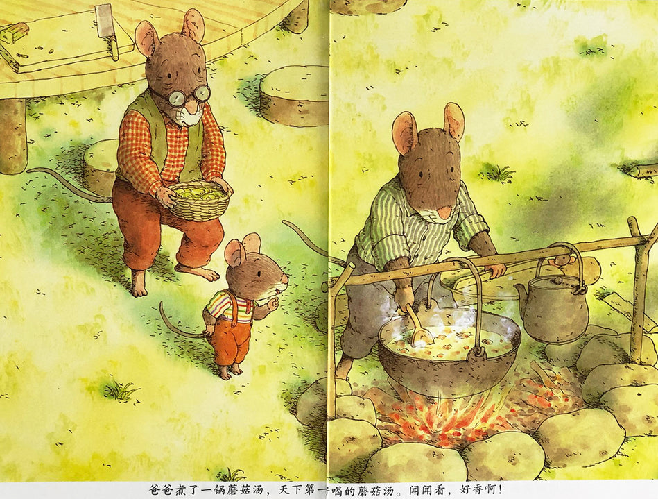 The 14 Forest Mice 14 只老鼠 9787544854634 Chinese