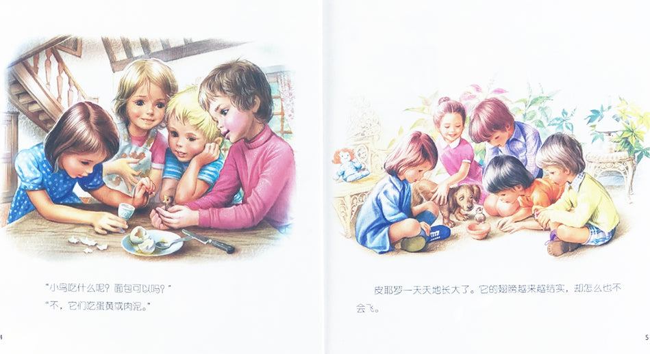Martin Preschool Chinese 小小玛蒂娜 9787545607277