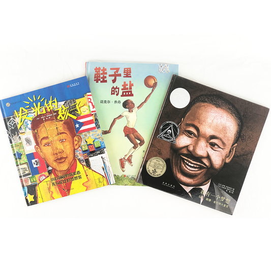 Black American Biographies Chinese children book ：我有一个梦想，发光的孩子，鞋子里的盐