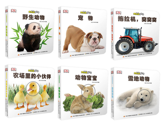 Who Am I Board Book DK 大眼睛洞洞书 9787304070922 Chinese