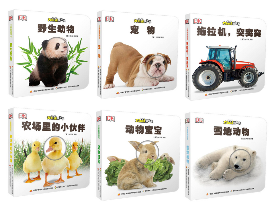 Who Am I Board Book DK 大眼睛洞洞书 9787304070922 Chinese