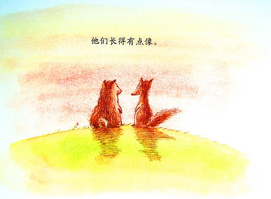 烟花  Fireworks Chinese Children's Book 9787533272012 