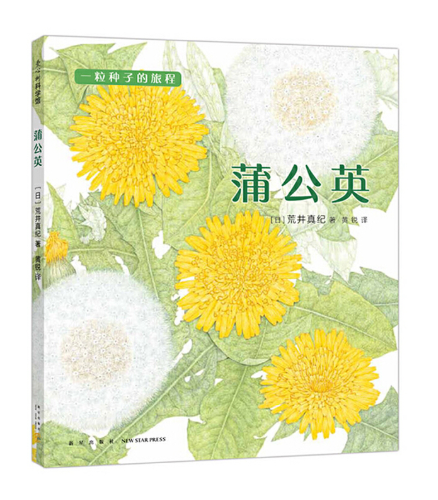 Journey of A Seed Dandelion 蒲公英 Chinese children Book 9787513319171 Maki Arai