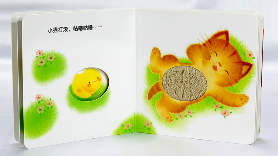 Little Piyo xiao ji qiu qiu 小鸡球球 Satoshi Iriyama 9787556054336 Chinese children's books