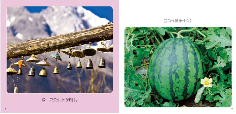 Chinese childrne books My first series about Nature 我的第一套自然认知书9787545611946