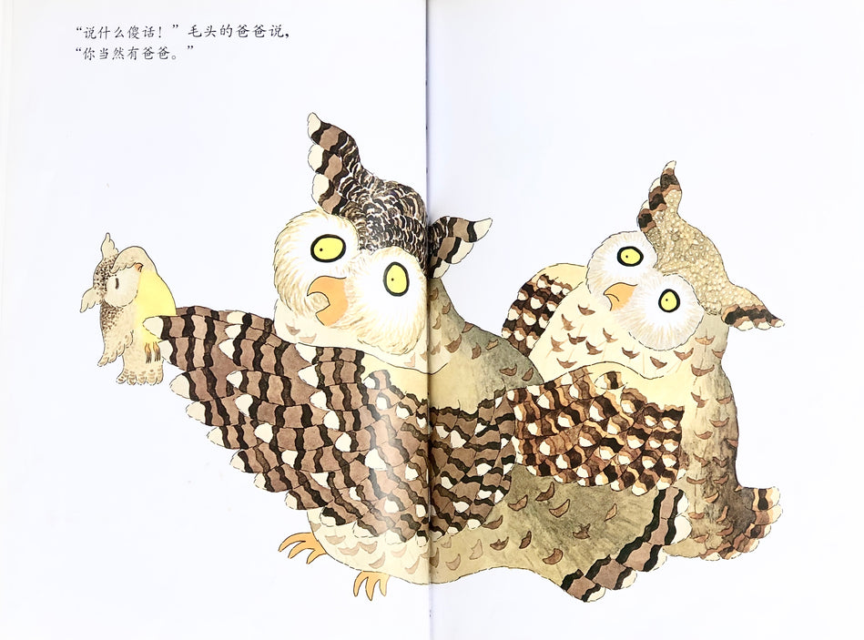 Owliver 毛头小鹰  Chinese Children Book 9787533264574 Robert Kraus