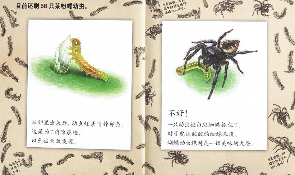 Science Around Me Chinese Children book pu gong ying ke xue hui ben 蒲公英科学绘本 Yeon-gyeong Junga 9787553656137