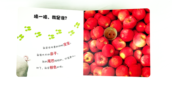 DK Who am I 大眼睛洞洞书6 book set Chinese children's book Montessori 农场里的小伙伴
