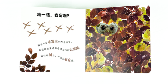 DK Who am I 大眼睛洞洞书6 book set Chinese children's book Montessori 9787304070878 动物宝宝