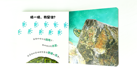 DK Who am I 大眼睛洞洞书 野生动物 Chinese children's book Montessori  9787304070922 宠物