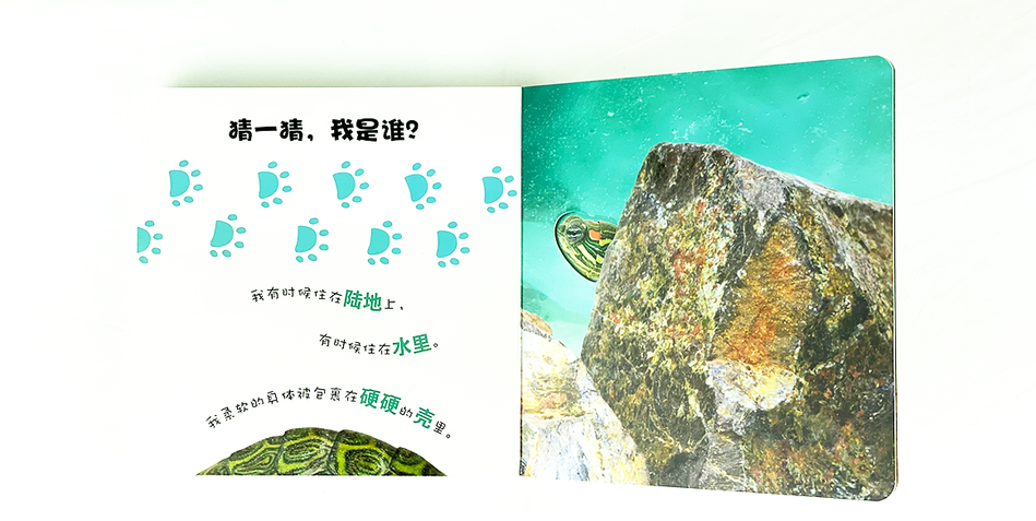 DK Who am I 大眼睛洞洞书 野生动物 Chinese children's book Montessori  9787304070922 宠物