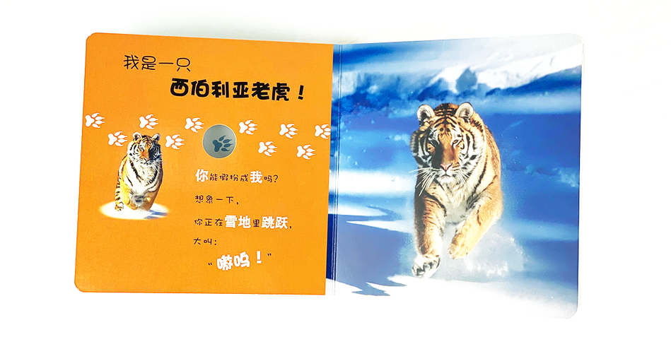 DK Who am I 大眼睛洞洞书6 book set Chinese children's book Montessori 9787304070915 雪地动物