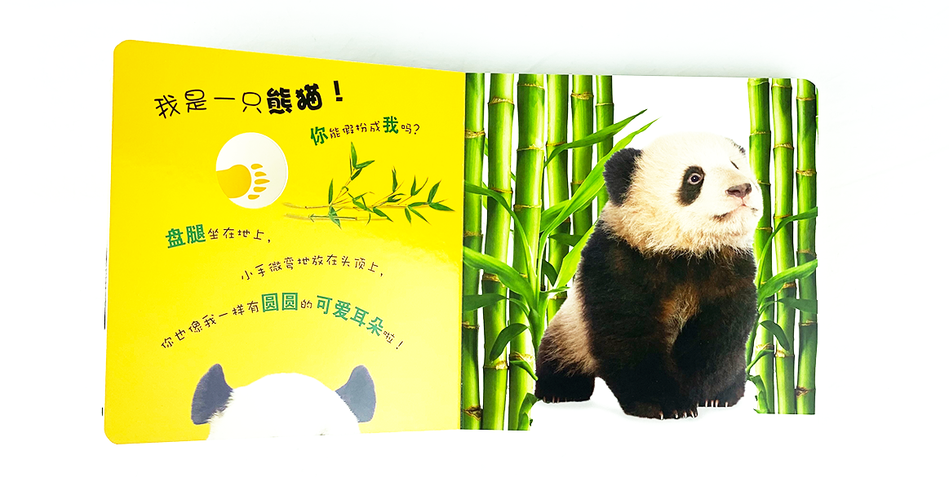 DK Who am I 大眼睛洞洞书 野生动物 Chinese children's book Montessori  9787304070922