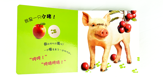 DK Who am I 大眼睛洞洞书6 book set Chinese children's book Montessori 农场里的小伙伴