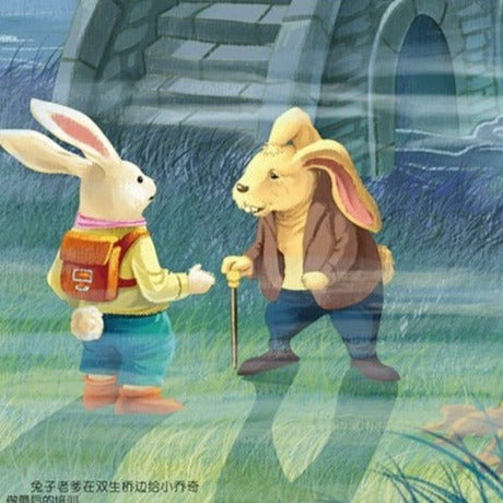 Young Adults Classics Rabbit Hill etc. 兔子坡Chinese children Book 9787547723128 
