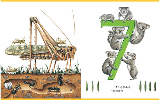 My First Discovery preschooler 第一次发现 9787544808286 胶片书 interactive chinese children's books