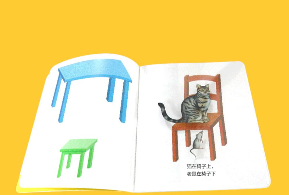 My First Discovery preschooler 第一次发现 9787544808286 胶片书 interactive chinese children's books