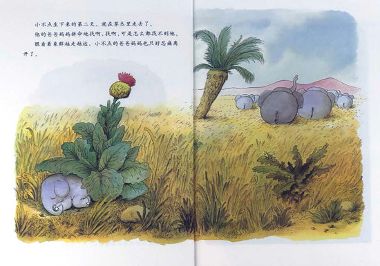 Wilma the Elephant 大象小不点9787559614025 Chinese book