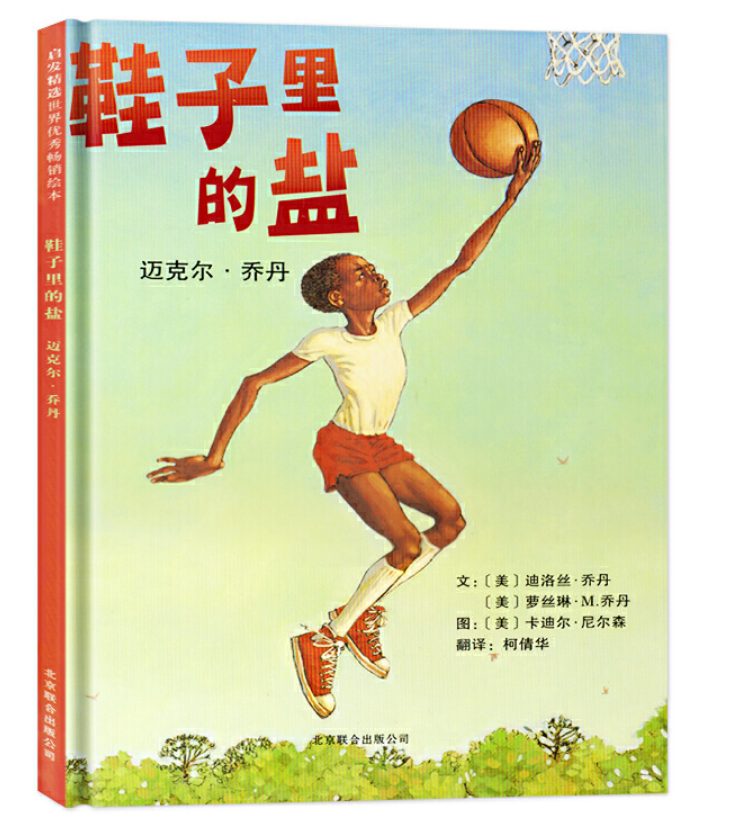 Salt in Shoes Chinese book 鞋子里的盐 9787550205390
